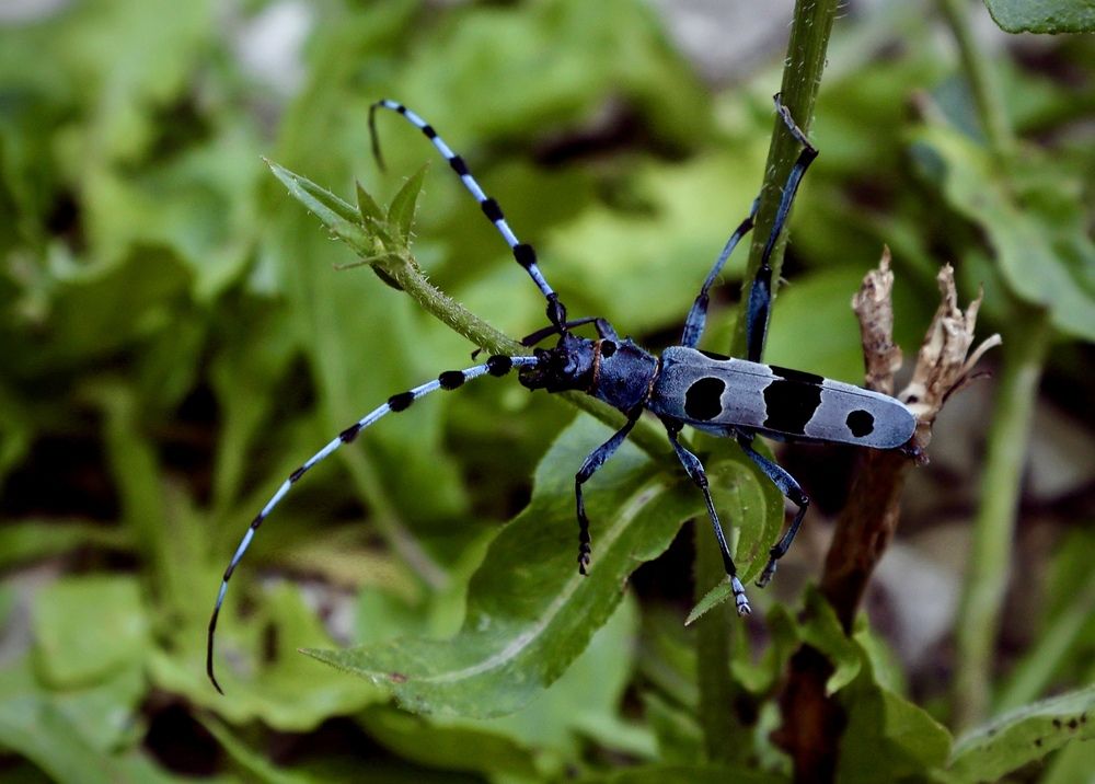 Photograph by Людмила Белякова