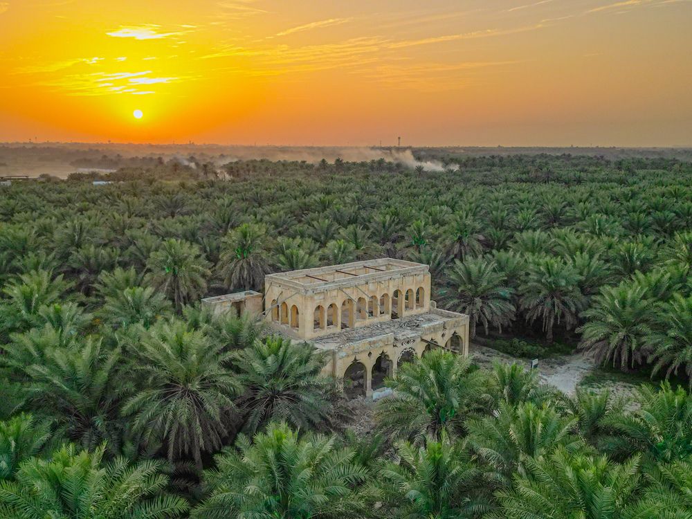 Photograph by ali_a7mad _almubarak