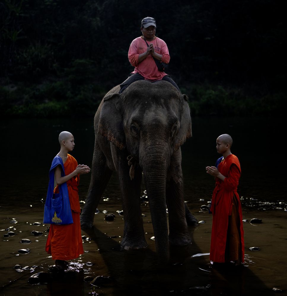 Photograph by Ovi D Pop