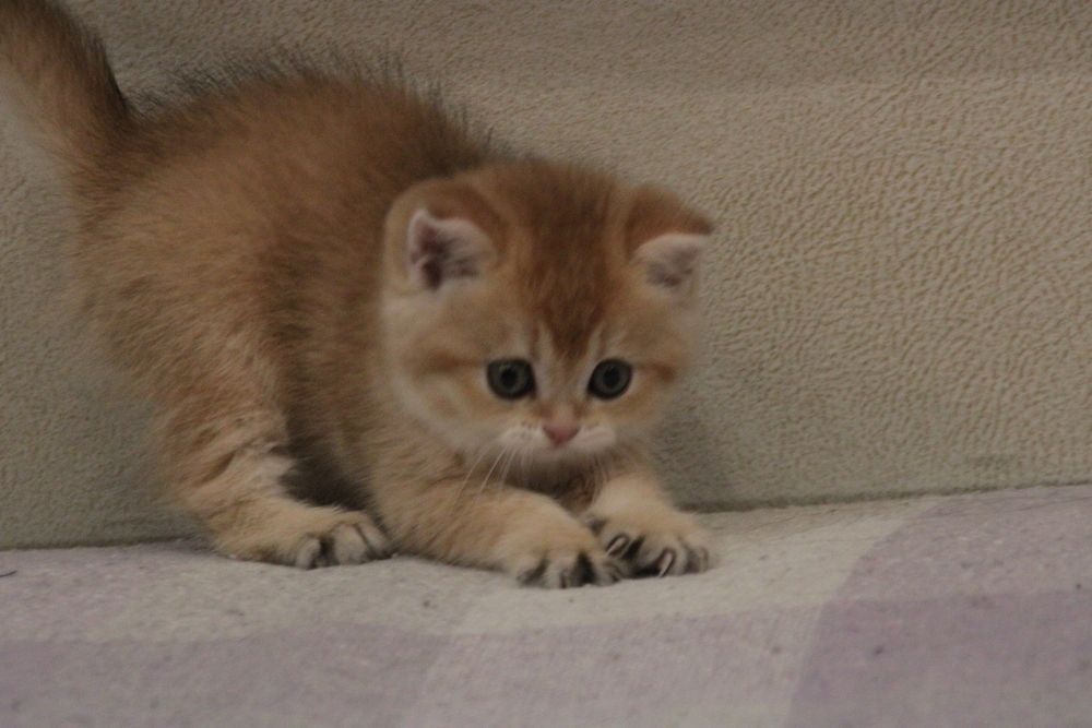 Photo #13194425