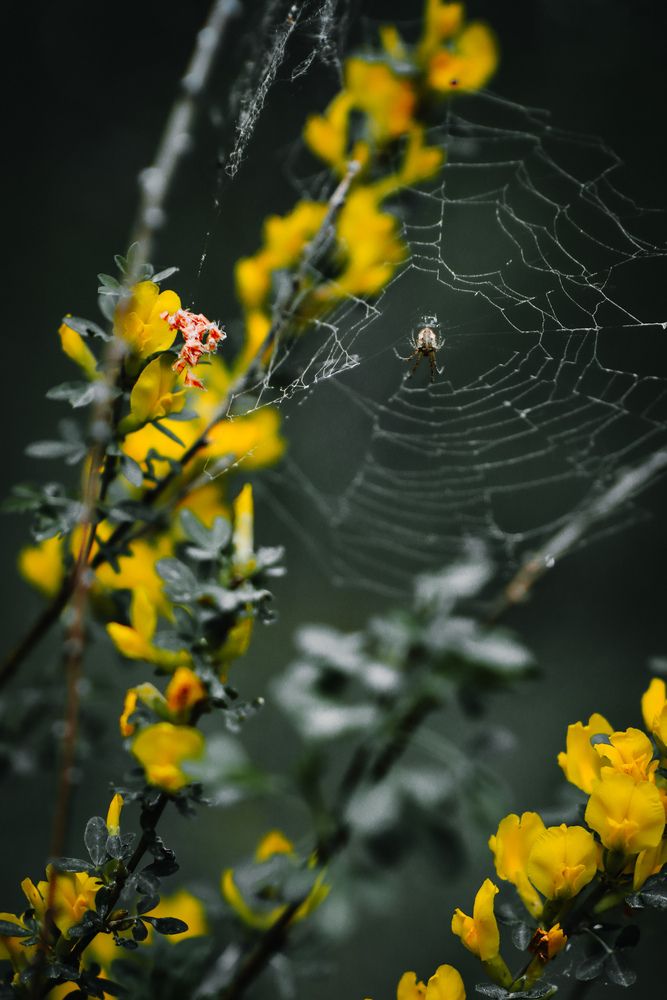 Photograph by Алексей Болотов