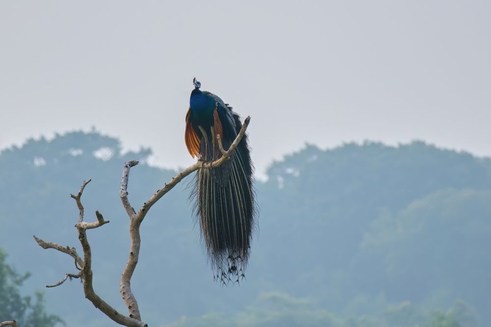 Photograph by Natalia Waurio