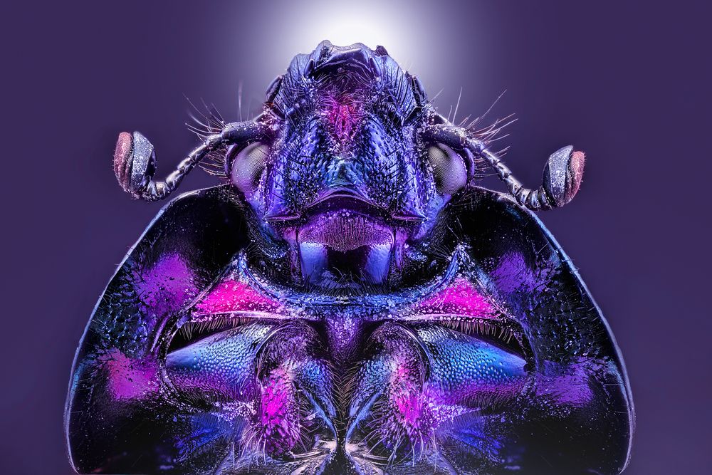 Photograph by Pedro Luis Ajuriaguerra Saiz