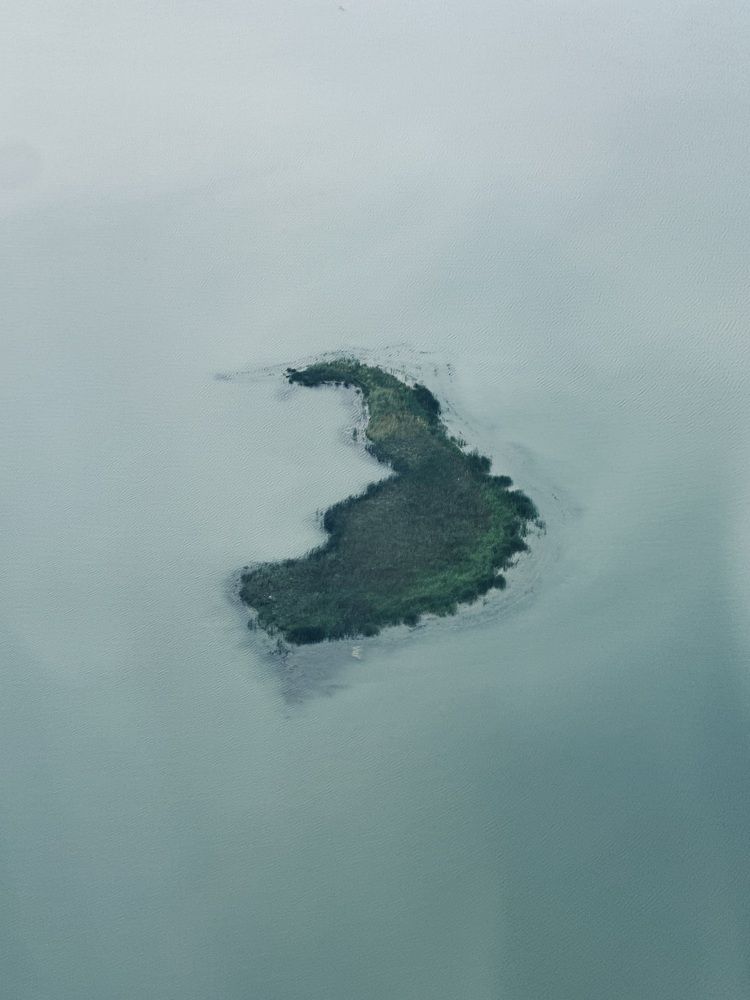 Фотография автора Бороздина Мария