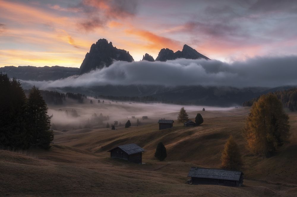 Photograph by Andrea Curzi
