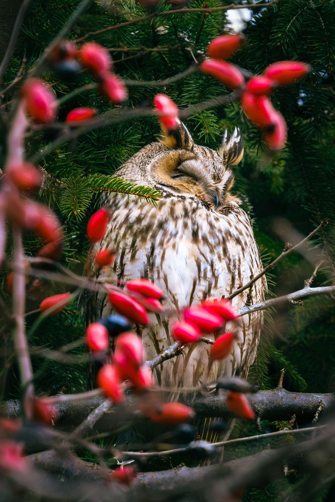 Photograph by Stanislav Volkov