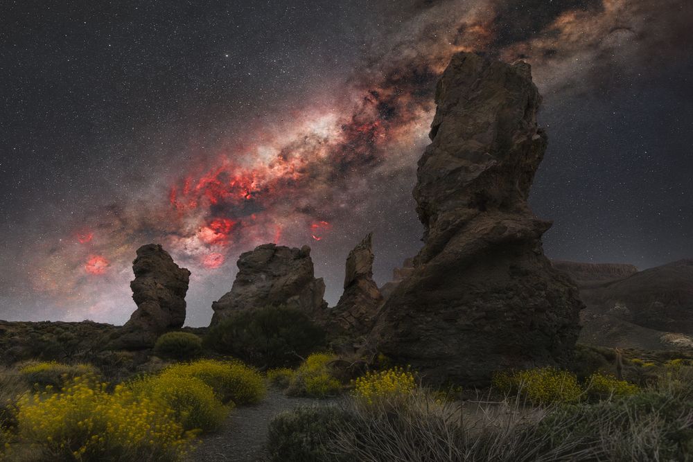 Photograph by Andrea Curzi