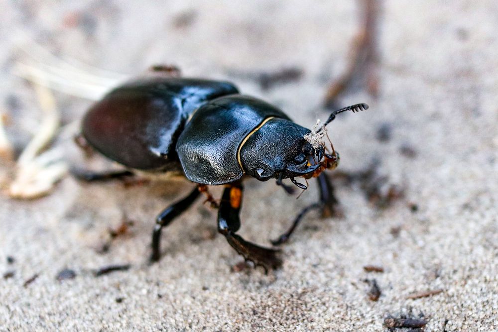 Photograph by Сергей Конюшенко