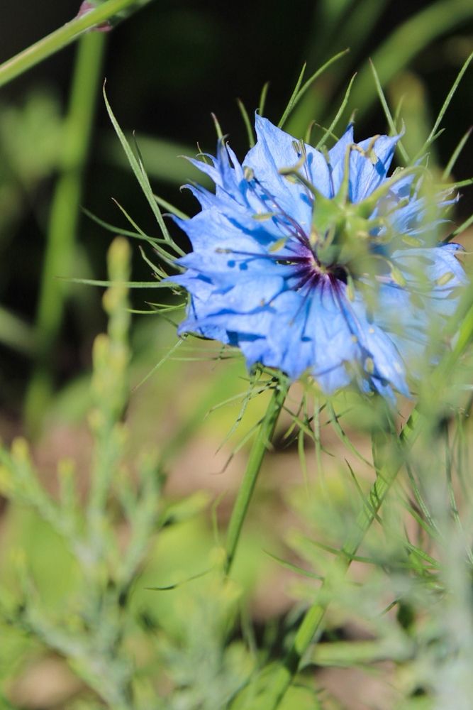 Photograph by Татьяна Смирнова