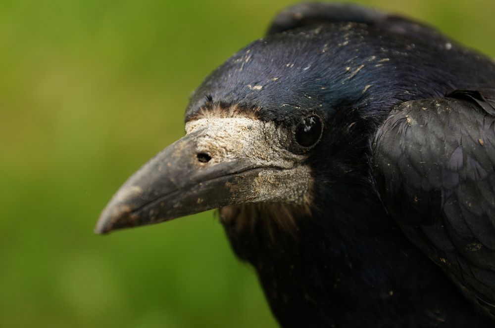 Photograph by Игорь Тамми