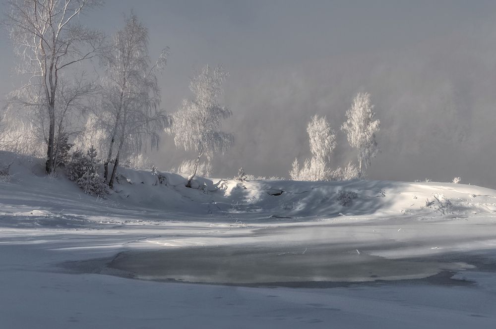 Фотография автора Марина Фомина