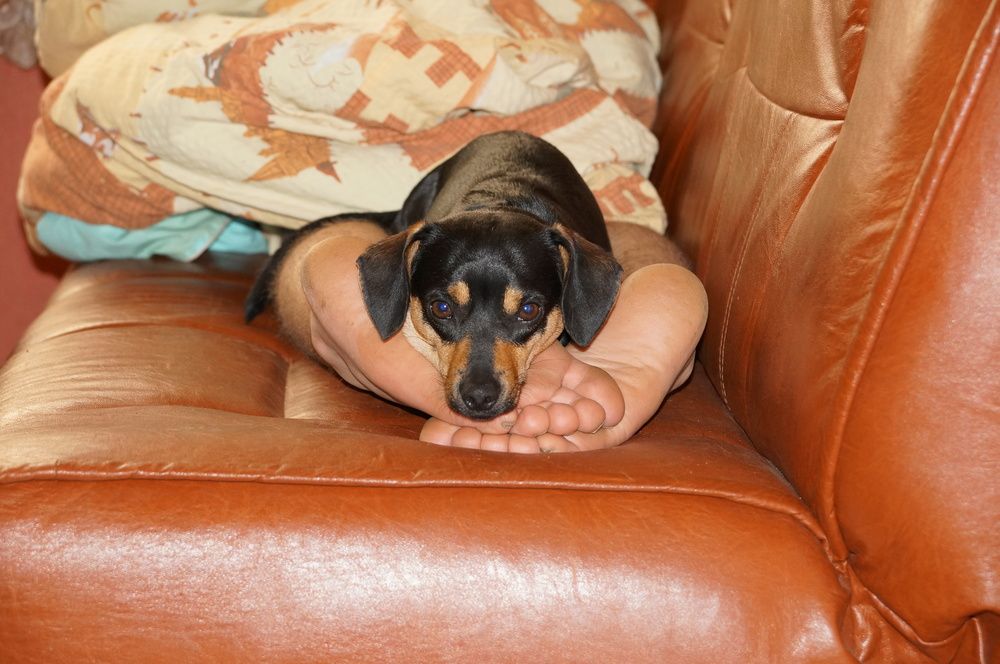 Photograph by Игорь Тамми