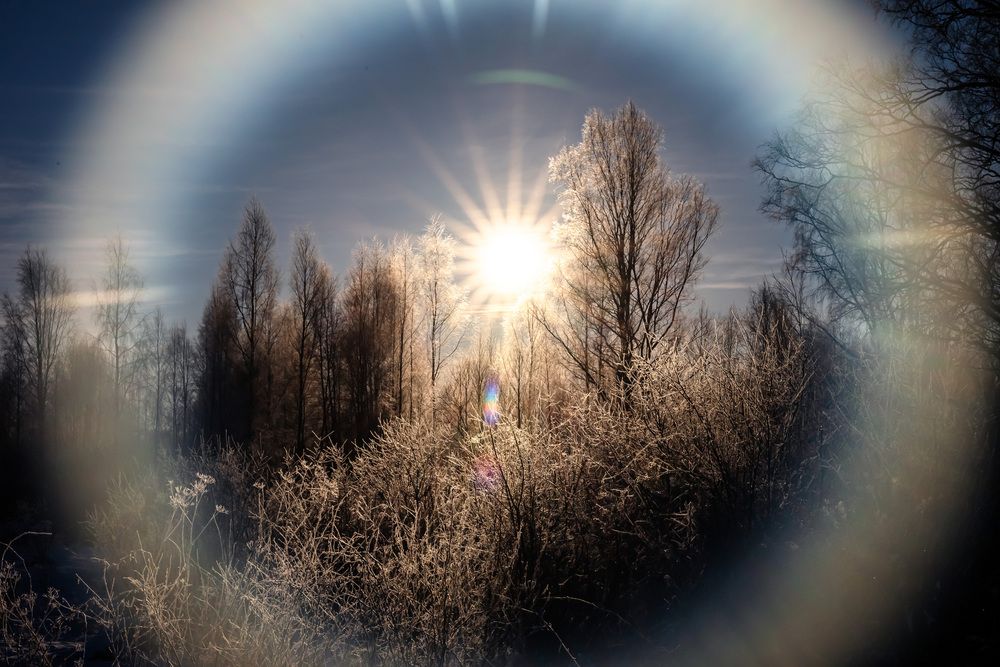 Photograph by Константин Бородулин