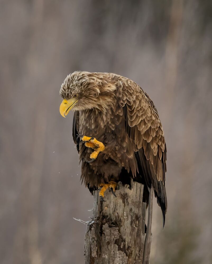 Photograph by Алешка Татьяна