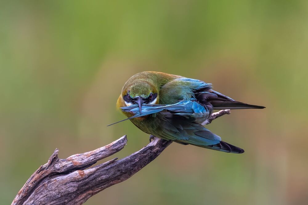 Photograph by Алешка Татьяна