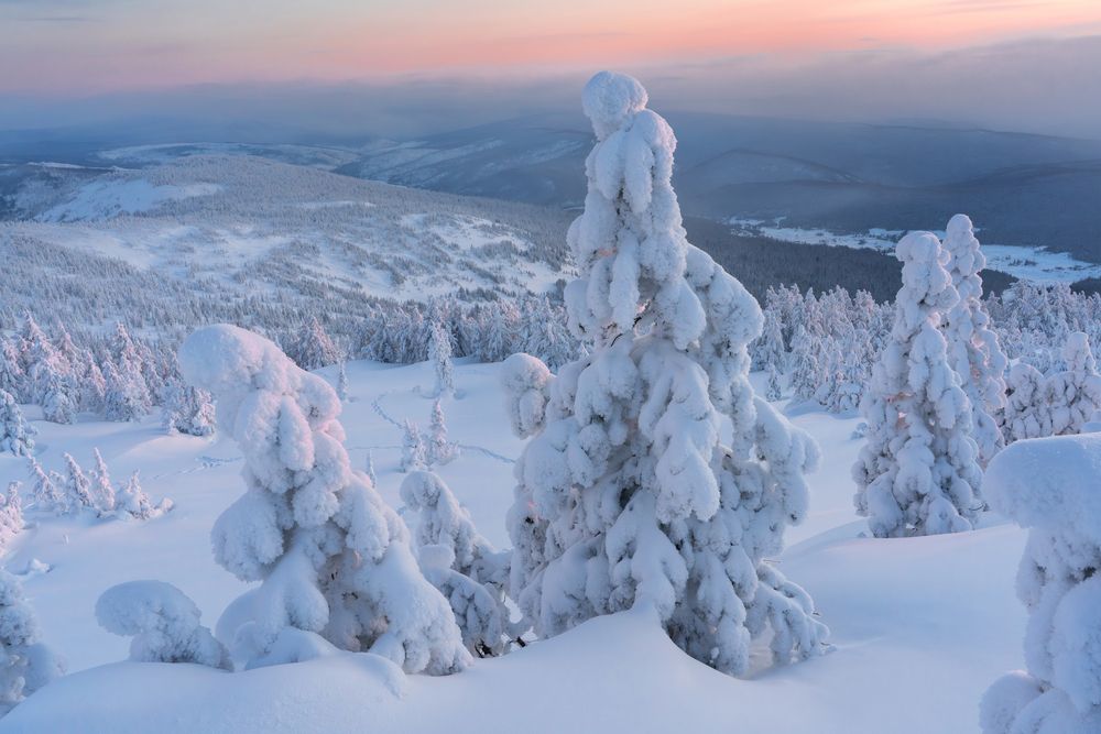 Photograph by Александр Нерозя