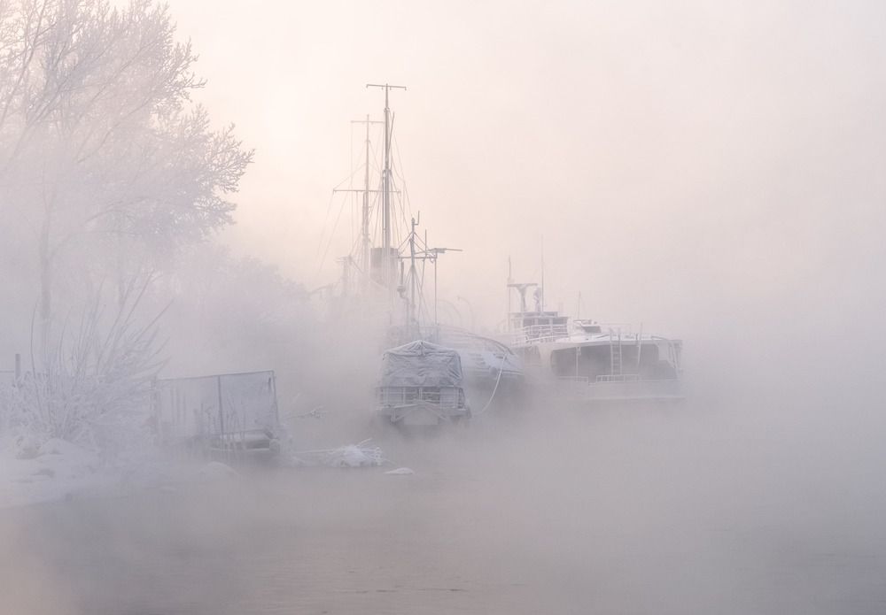 Фотография автора Марина Фомина