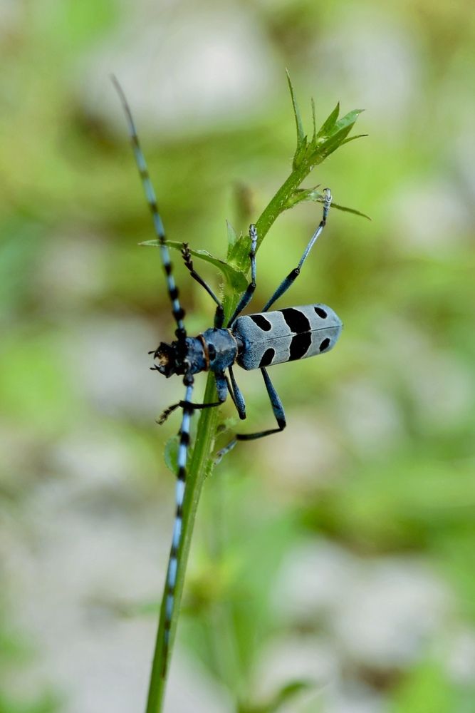 Photograph by Людмила Белякова