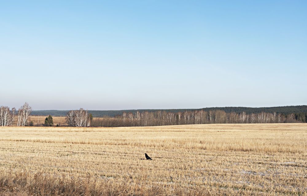 Photograph by Елена Гоосен