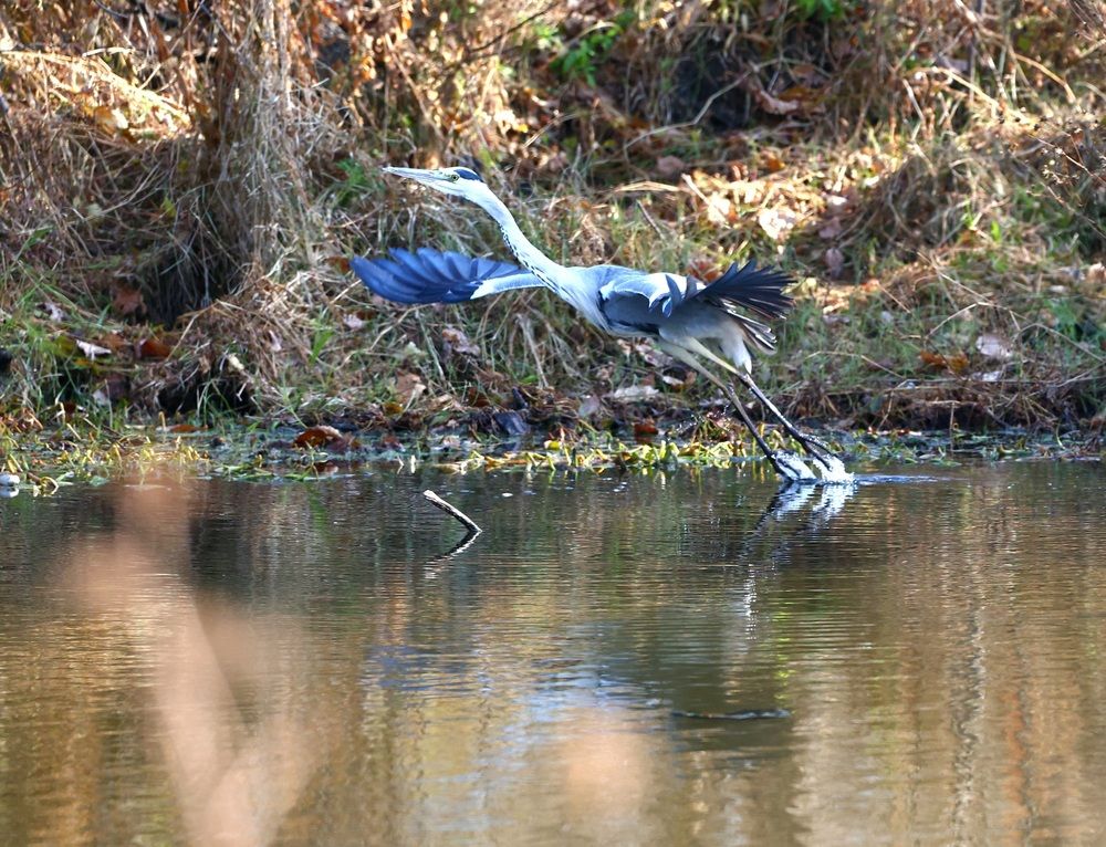 Photograph by Евгений Мельниченко
