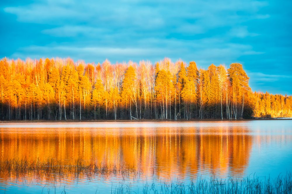 Photograph by Ermolin Aleksandr