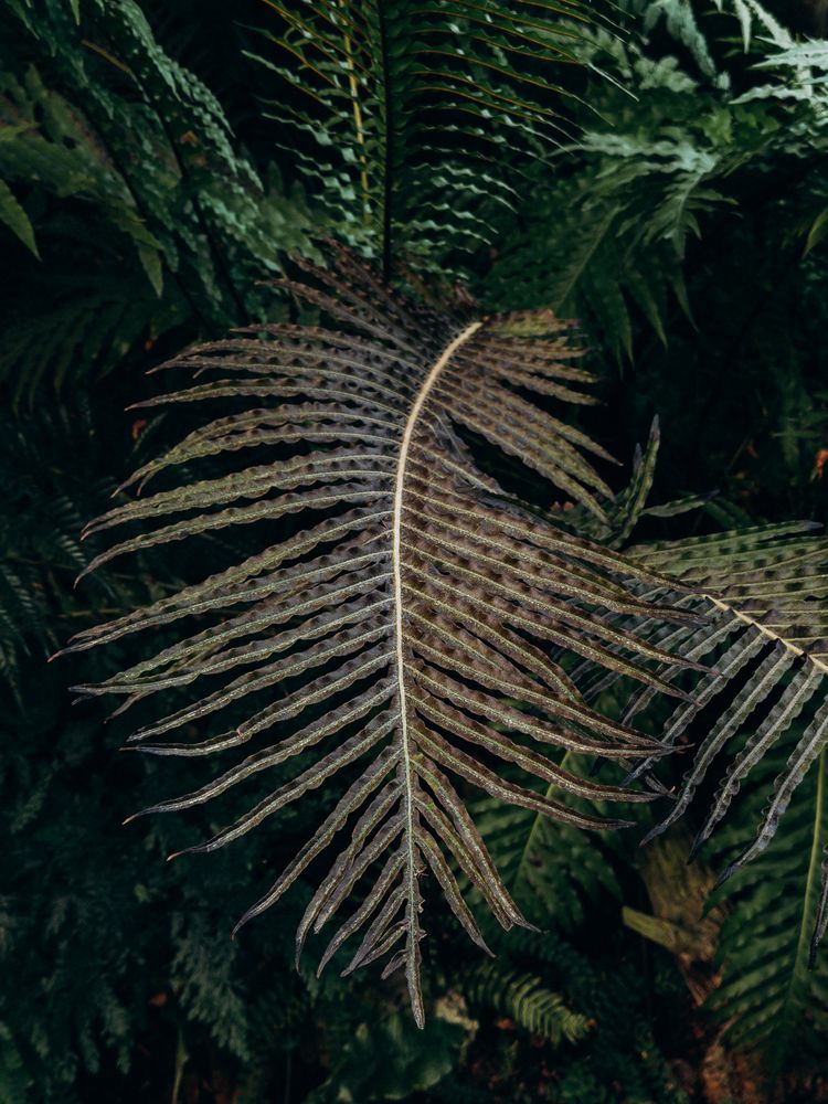 Photograph by Алиса Нежинская