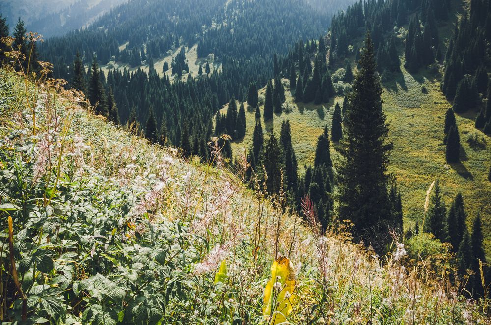 Photograph by Юлия Подлеснова