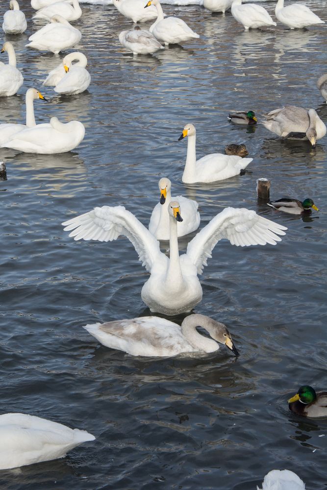 Photograph by Олег