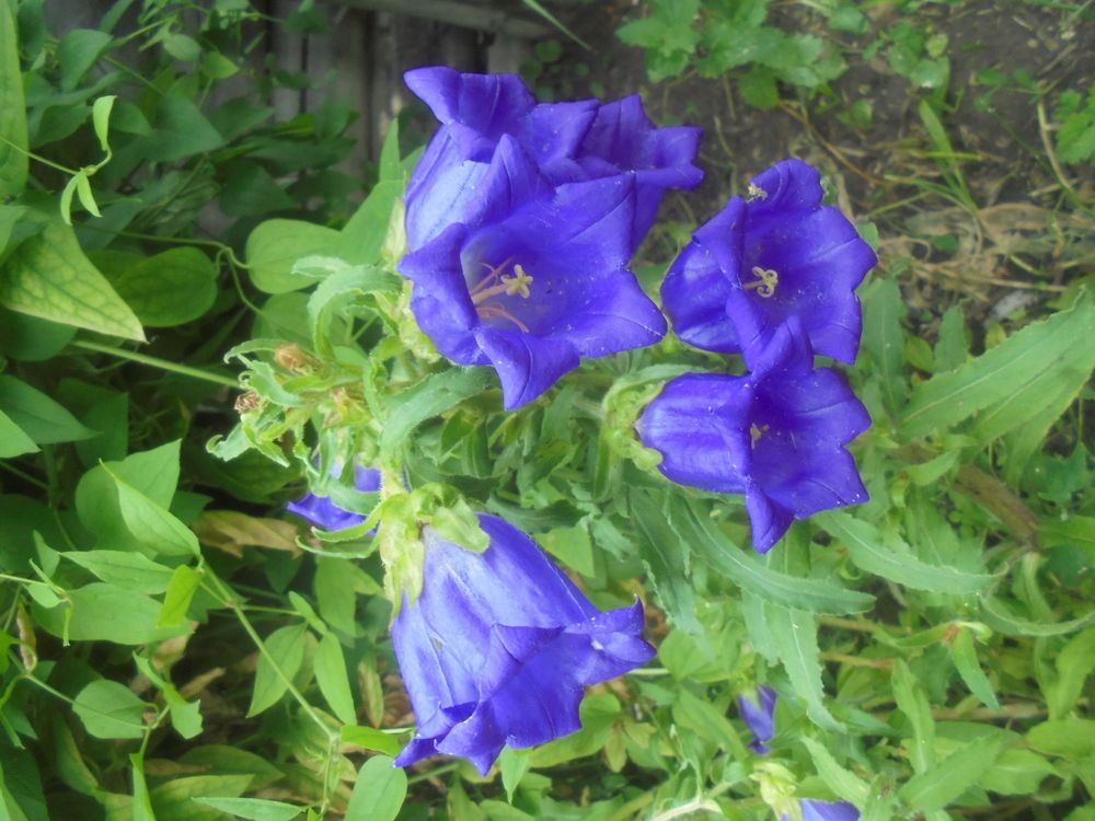 Photograph by Лилия Исхакова