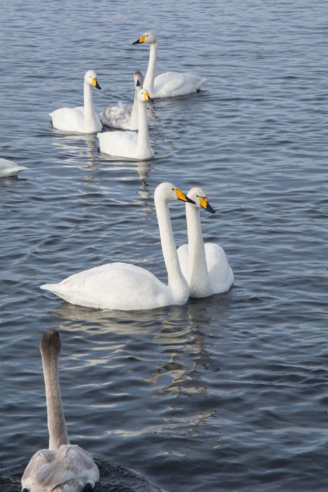 Photograph by Олег