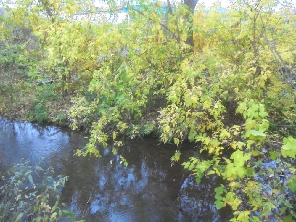 Photograph by Лилия Исхакова