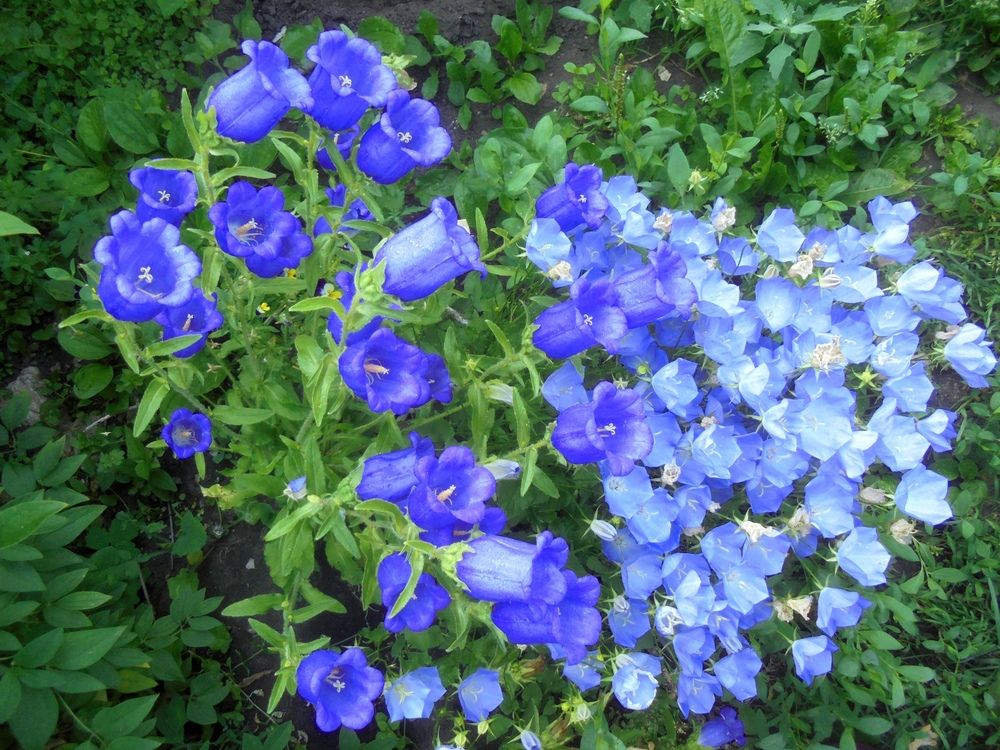 Photograph by Лилия Исхакова