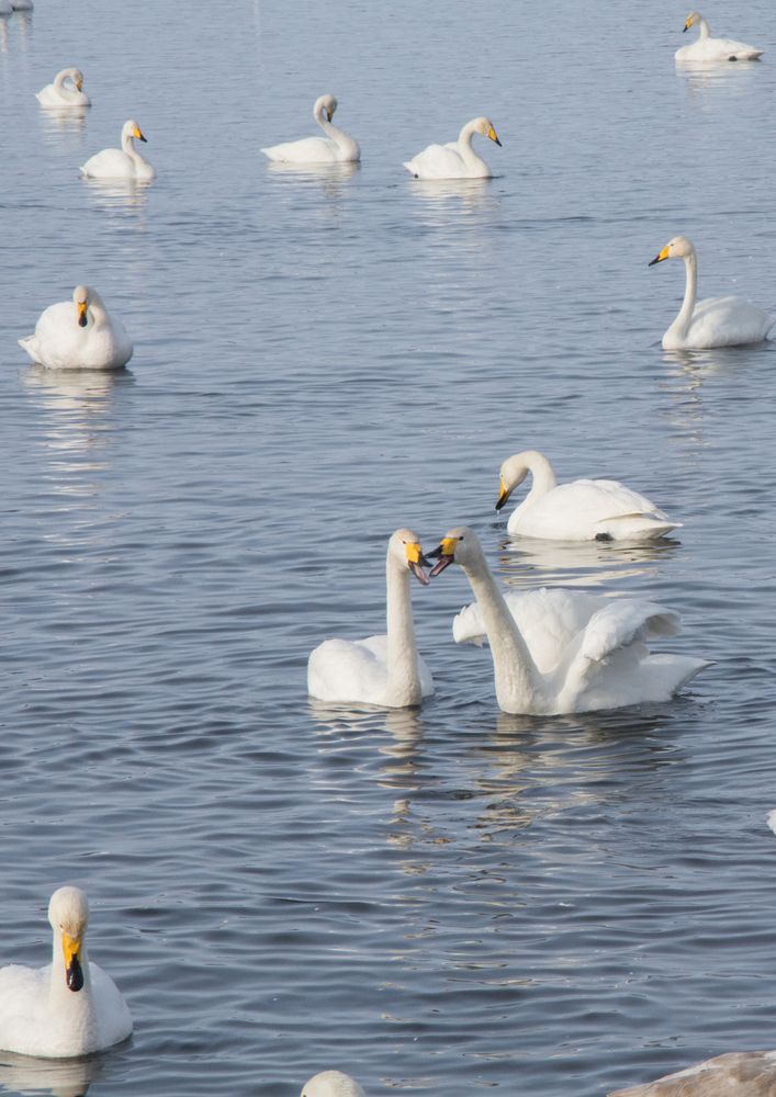 Photograph by Олег