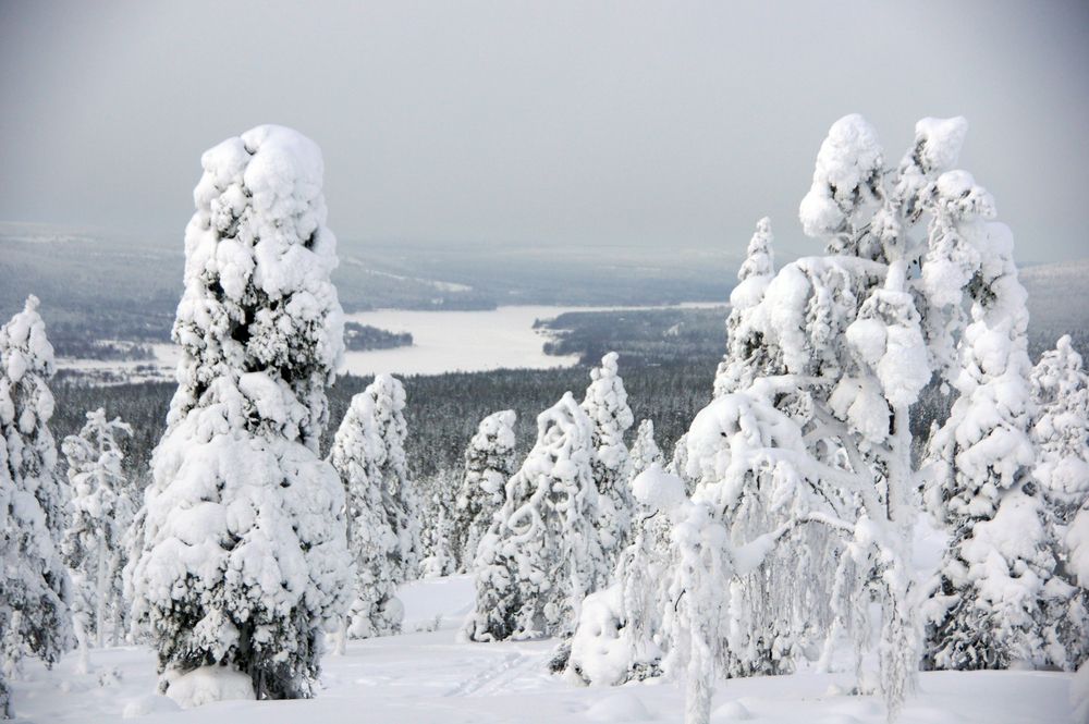 Фотография автора Александр Ахоньков