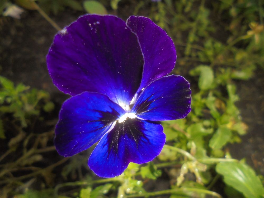 Photograph by Лилия Исхакова