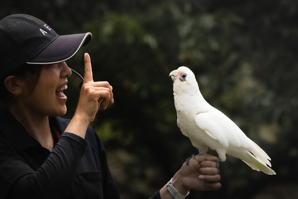 Photograph by KOHAGI