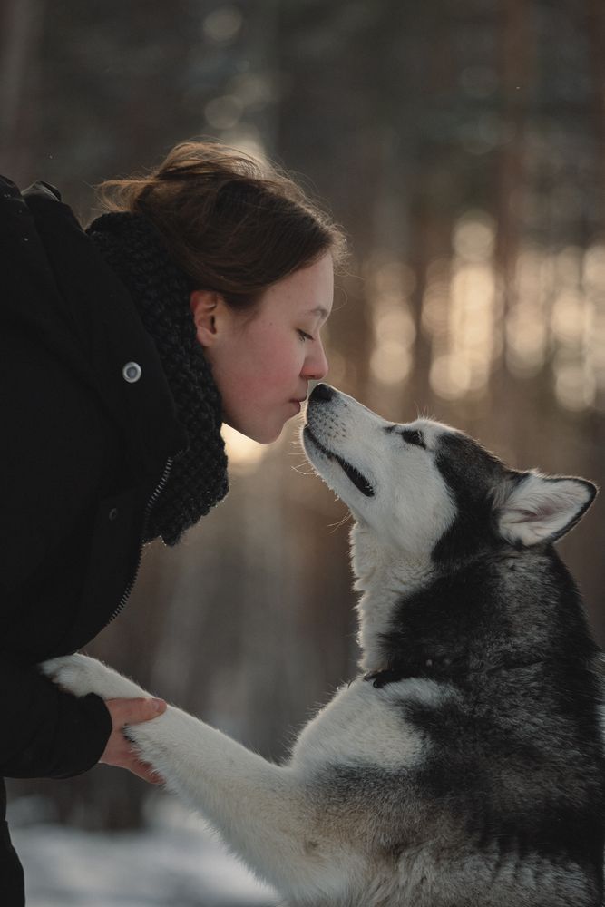 Photograph by Мария Семенова