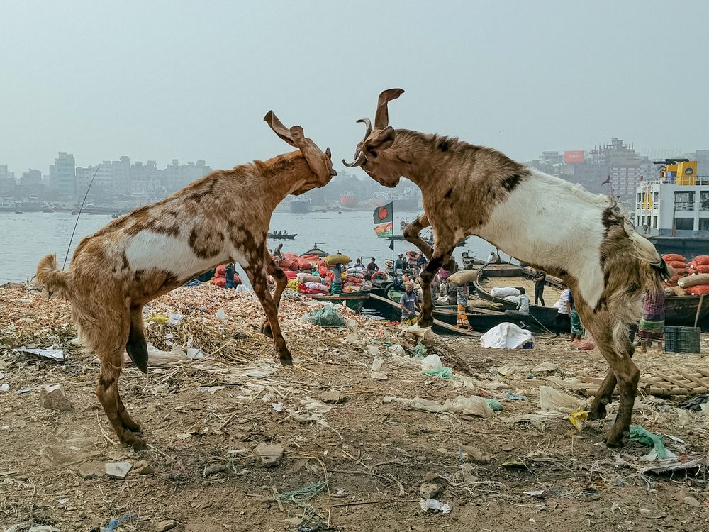 Photograph by Zunaid Hasan