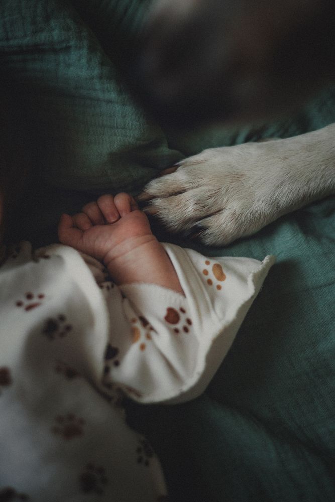 Photograph by Мария Семенова