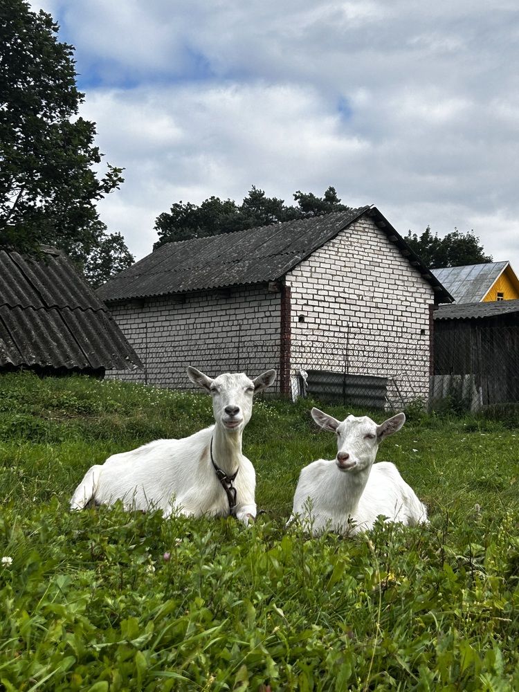 Photograph by Dominika Vasilevskaya