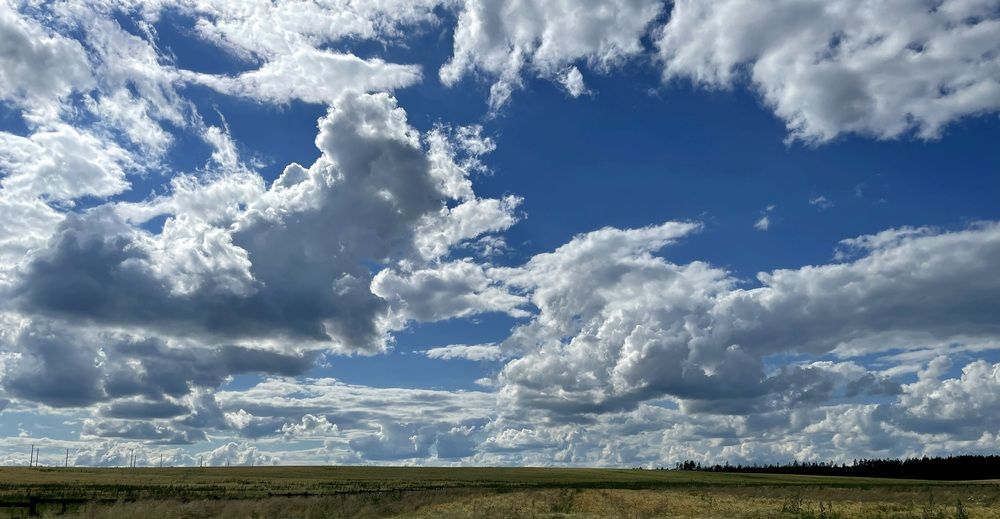 Photograph by Высоцкий Дмитрий