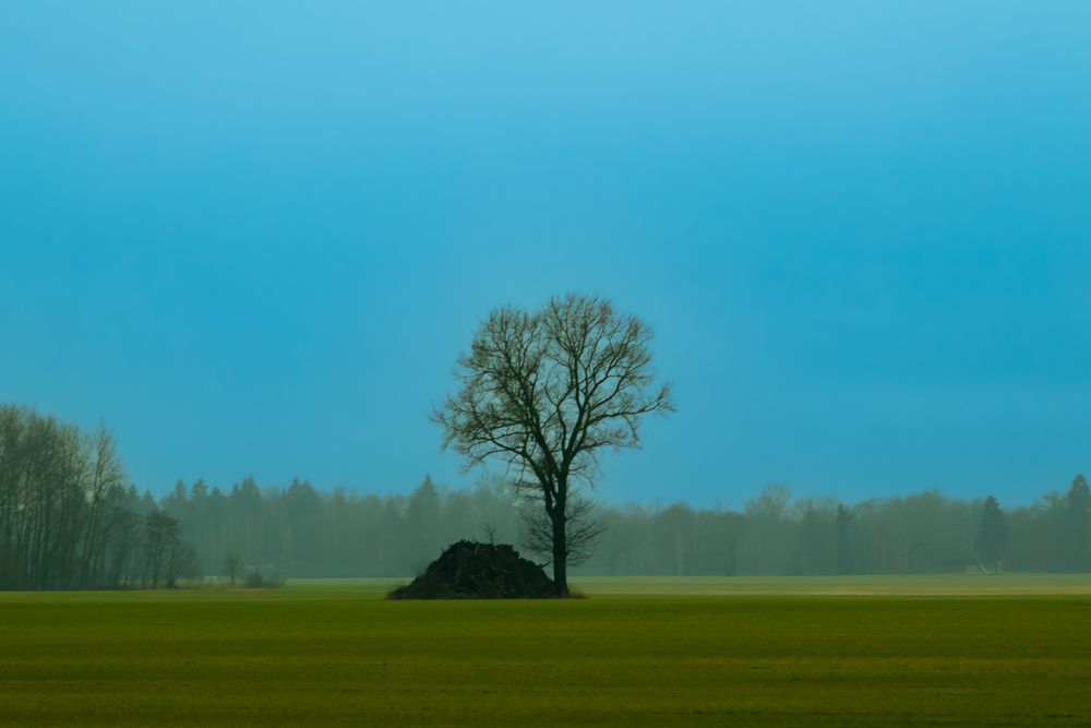 Фотография автора Ольга Матвеева