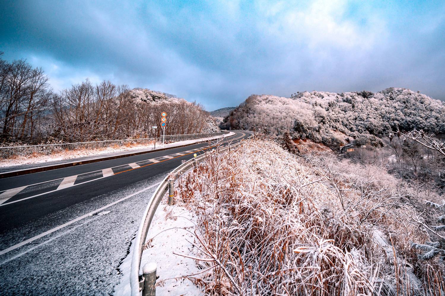 Фотография #13195205