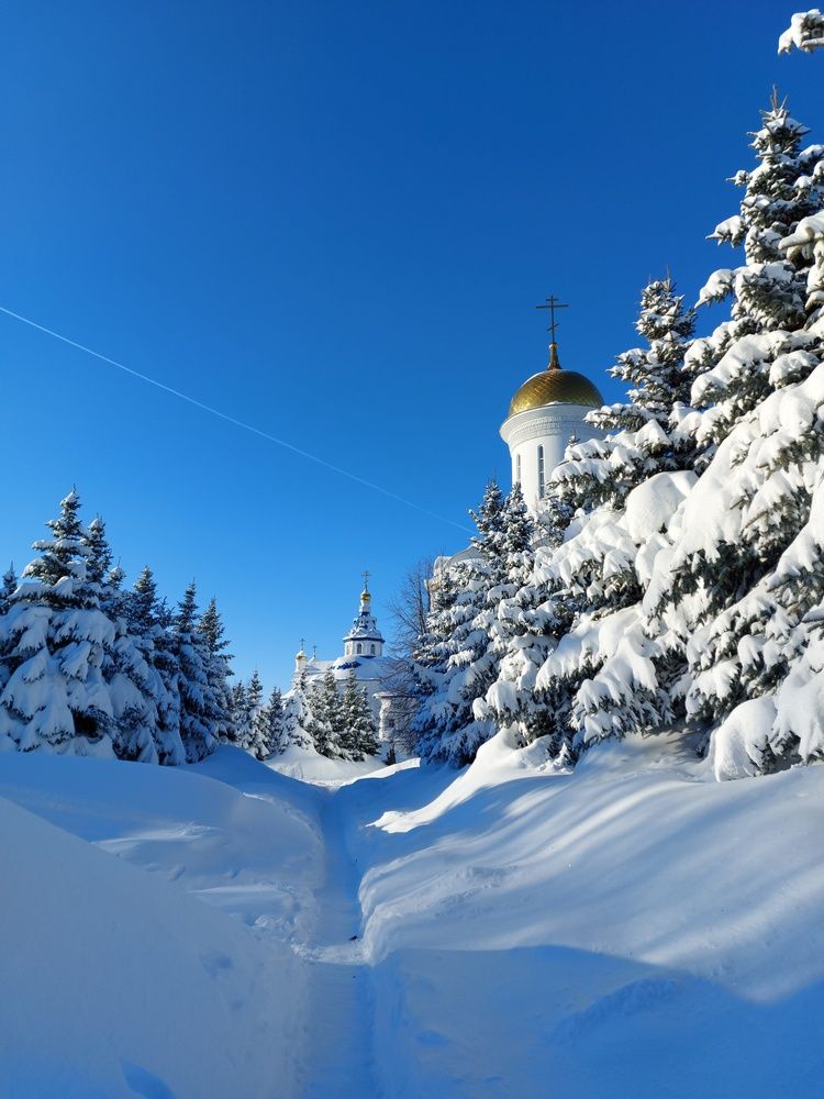 Фотография автора Бороздина Мария