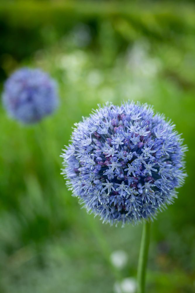 Фотография автора Татьяна Гороховская