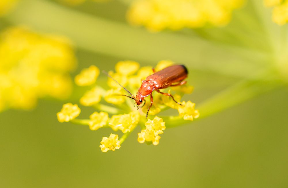 Photograph by Светлана Долотова