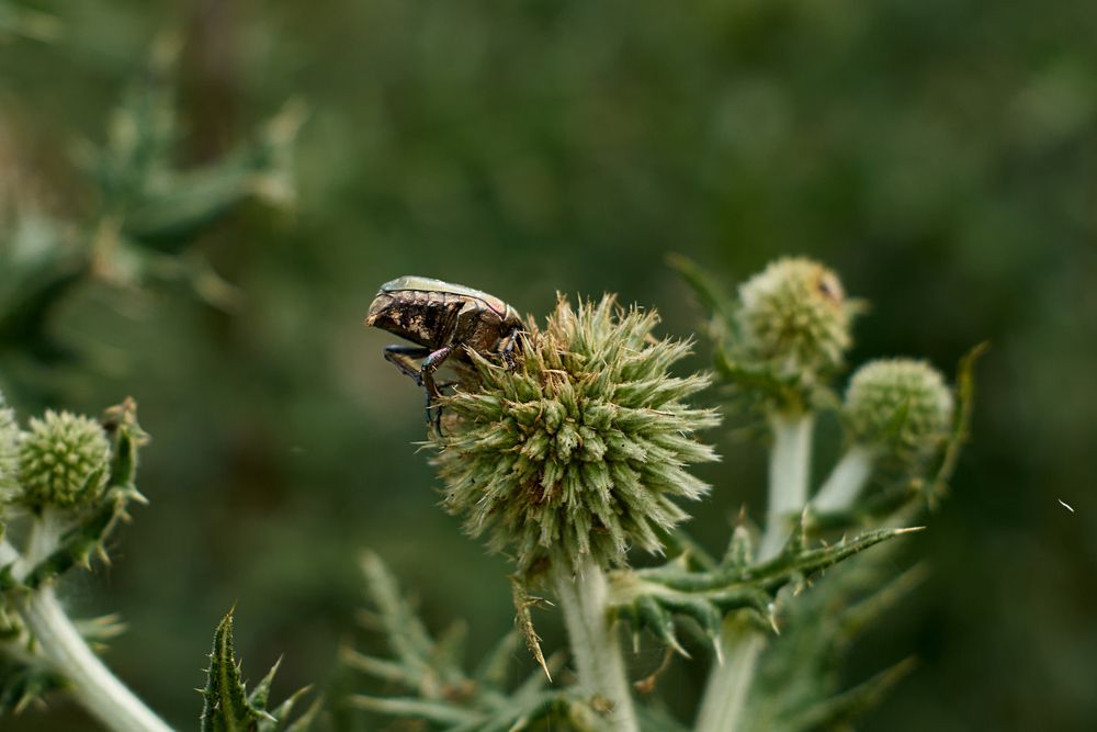 Photograph by Карпович Максим