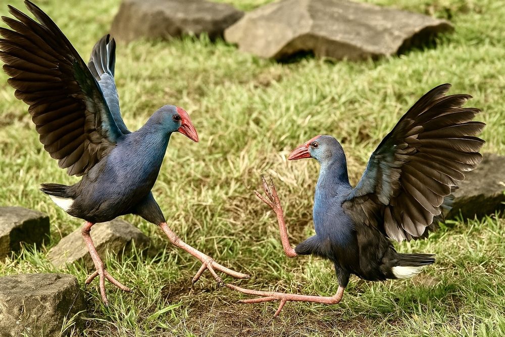 Photograph by HEMANT TUKARAM PATIL