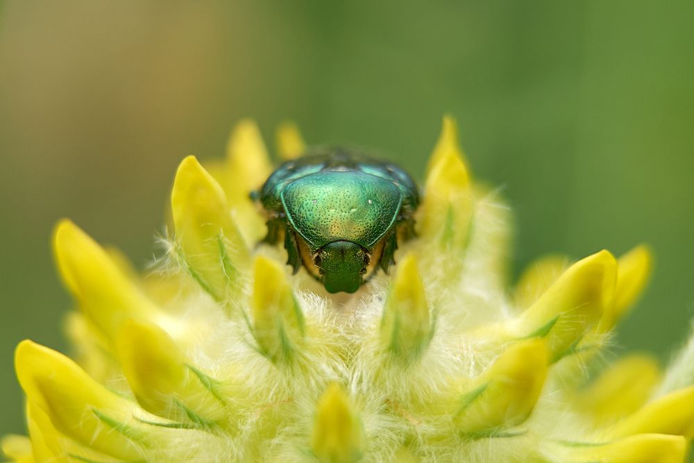 Photograph by Карпович Максим