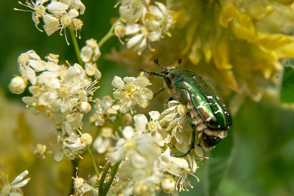 Photograph by Карпович Максим